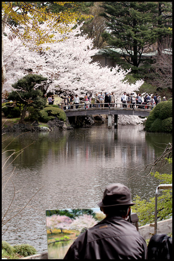 Cherry Blossoms, Tokyo